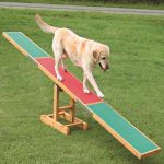 Training Equiptments